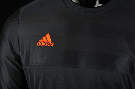 adidas entry 15 goalkeeper jersey