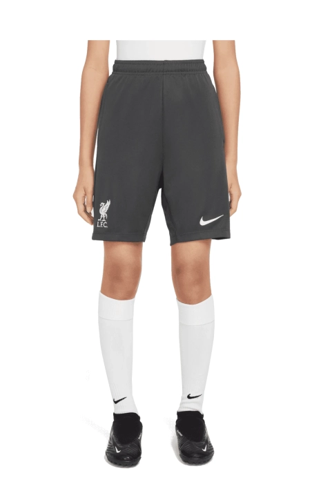 Šortky Nike Liverpool FC 24/25 Academy Pro Junior - Šedá