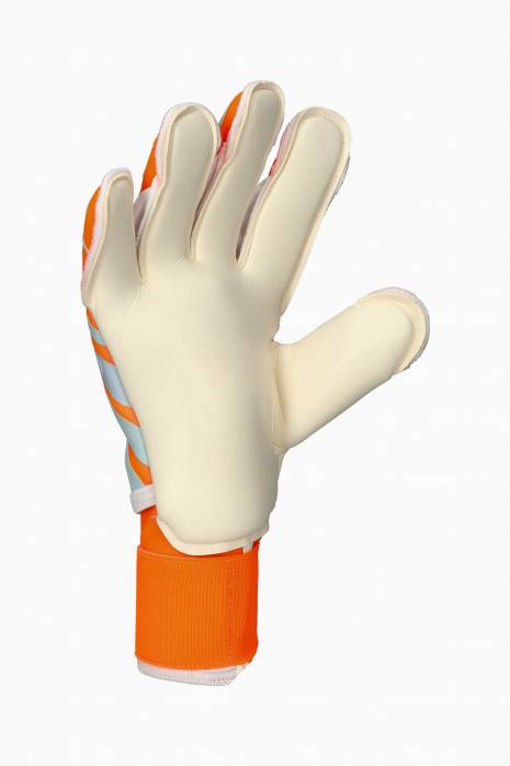 Goalkeeper Gloves Puma Ultra Protect 1 RC
