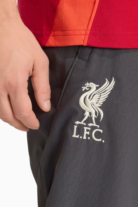 Pantaloni adidas Liverpool FC 25/26 Competition Training - Gri
