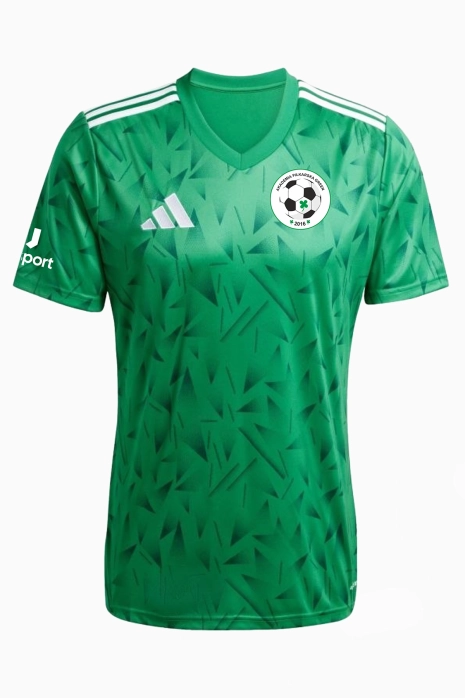 Koszulka bramkarska adidas AP Green - Zielony