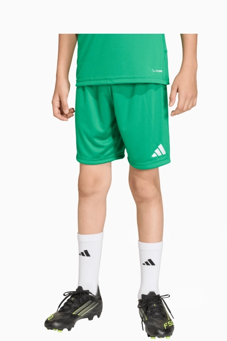 Spodenki bramkarskie adidas Beniaminek Krosno Junior - Zielony