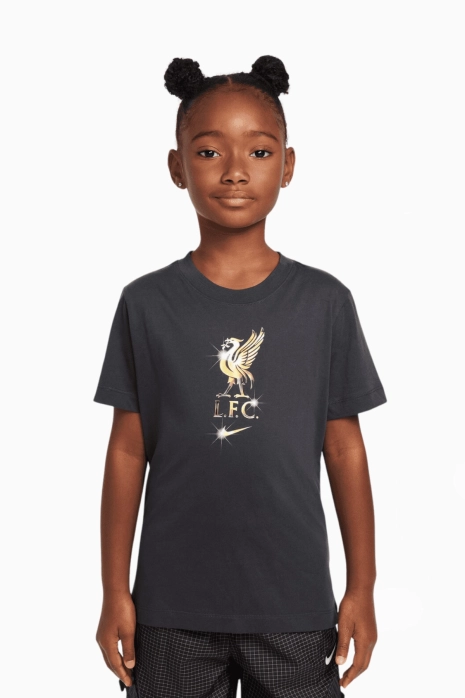 Футболка Nike Liverpool FC 24/25 Tee Crest Junior - серый