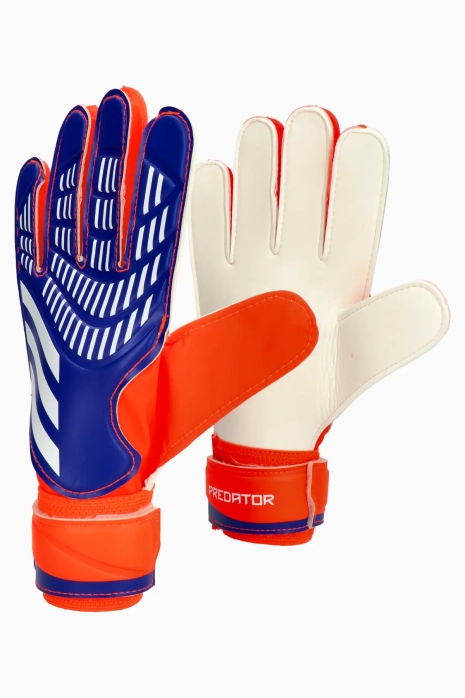 Goalkeeper gloves adidas Predator Training - Blue