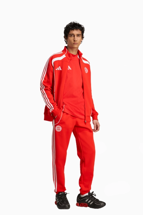 Штаны adidas FC Bayern 24/25 Urban Purist Doubleknit Track