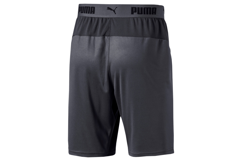 puma ftblnxt shorts