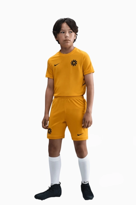 Nike Erling Haaland Academy Trikot Junior - Gelb