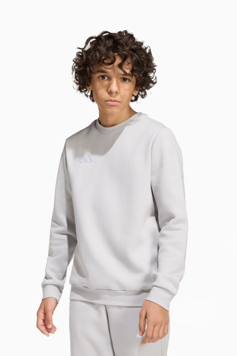 adidas Entrada 26 Sweat Junior Sweatshirt - Grau
