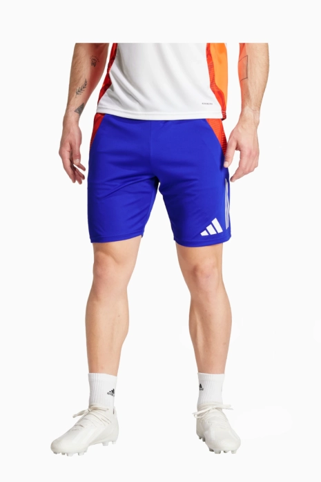 adidas Tiro 24 Competition Training Shorts - Blue