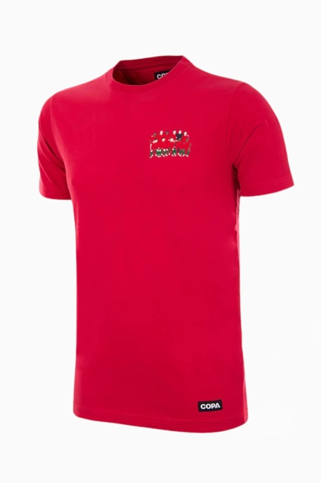 Football Shirt Retro COPA Portugal 2016 European Champions Embroidery