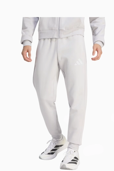Pantaloni adidas Entrada 26 Sweat - Gri