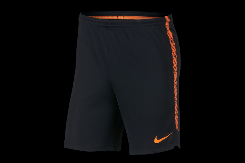 Shorts Nike Dry Squad 859908-011 | R-GOL.com - Football boots \u0026 equipment