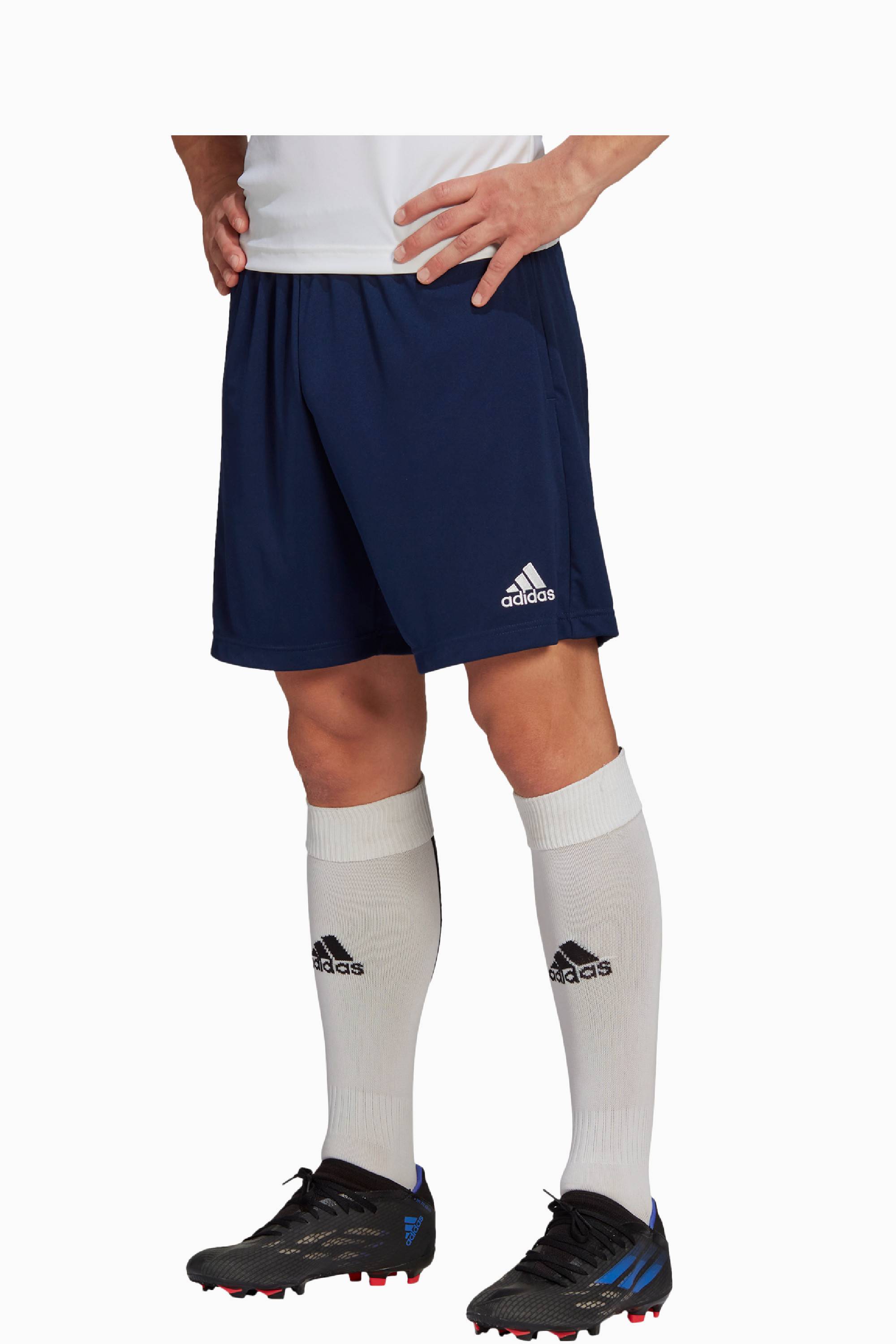 Šortky adidas Entrada 22 Training - Námornícka modrá