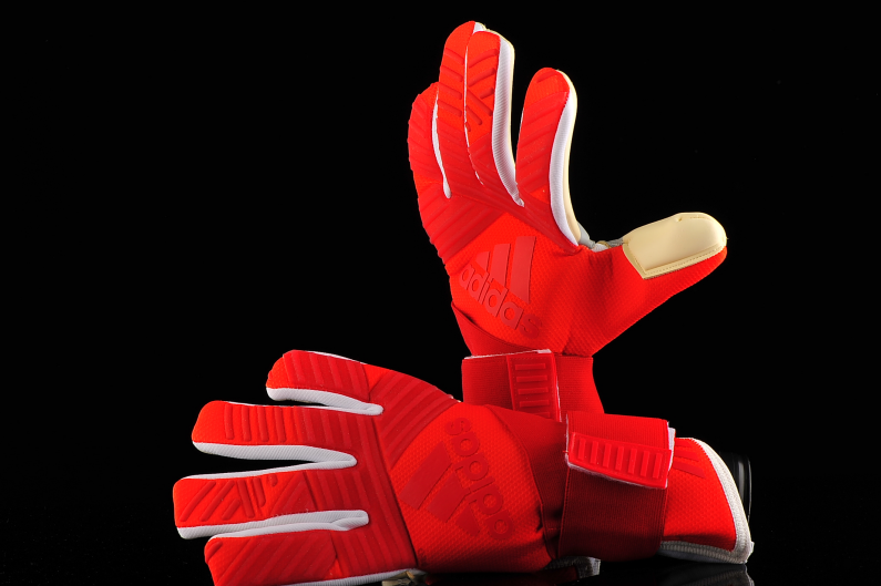 Goalkeeper Gloves adidas Ace Next Gen 