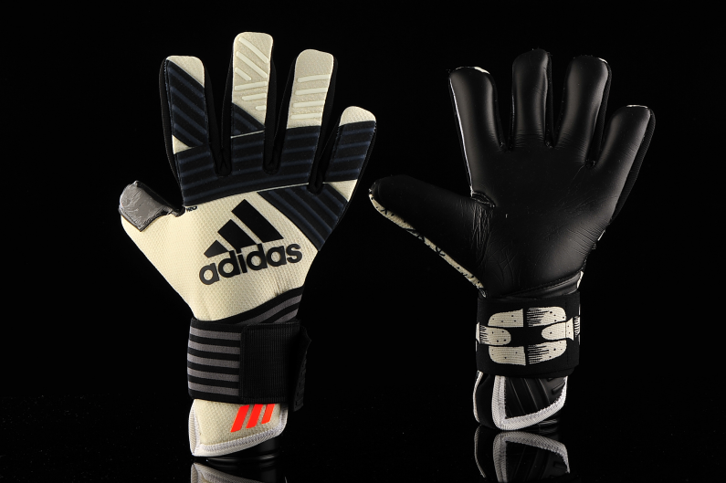 Goalkeeper Gloves adidas ACE 2-Face 