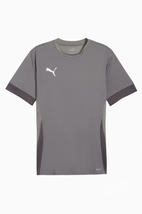 Puma teamGOAL Matchday Trikot - Grau