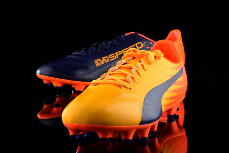 Puma evospeed 2025 17.2 fg