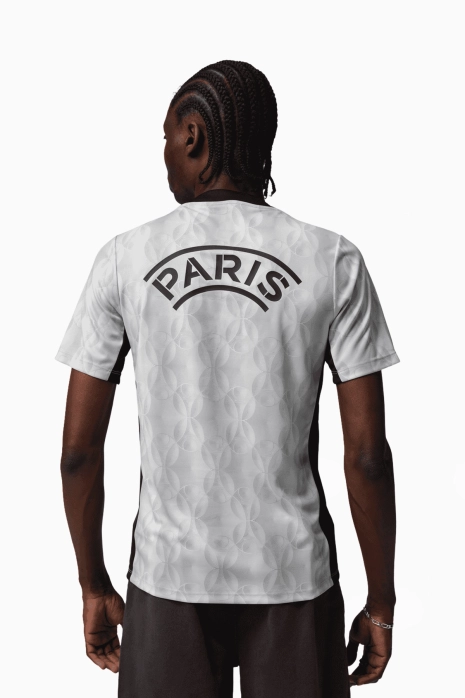 Футболка Nike PSG x Jordan 25/26 Academy Pro Night Edition - серый