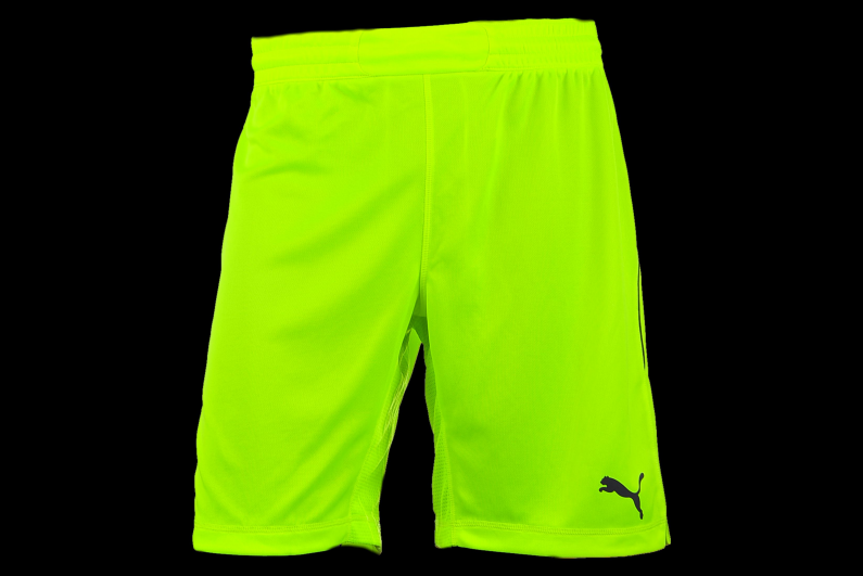 puma goalkeeper shorts